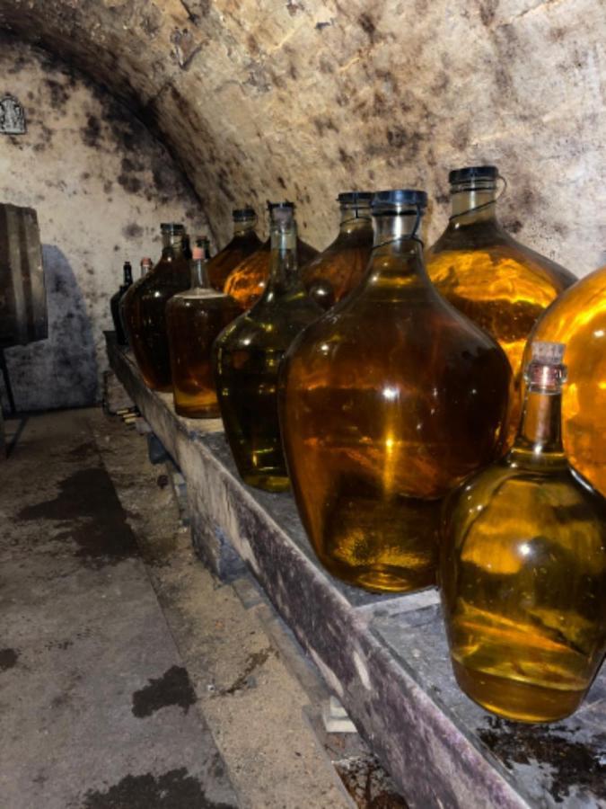 Ubytovani U Dedy Moravská Nová Ves Dış mekan fotoğraf
